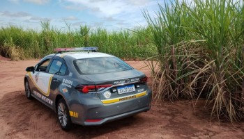 pm-rodoviaria-prendeu-homem-com-drogas-na-sp-331