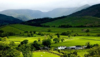 prazo-de-emissao-do-certificado-de-cadastro-de-imovel-rural-comecou