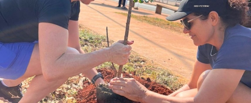 prefeitura-de-ibitinga-realiza-plantio-de-95-mudas-de-arvores