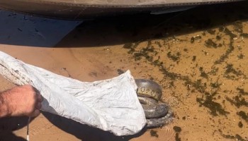 pm-ambiental-flagra-duas-ocorrencias-no-rio-tiete-em-borborema