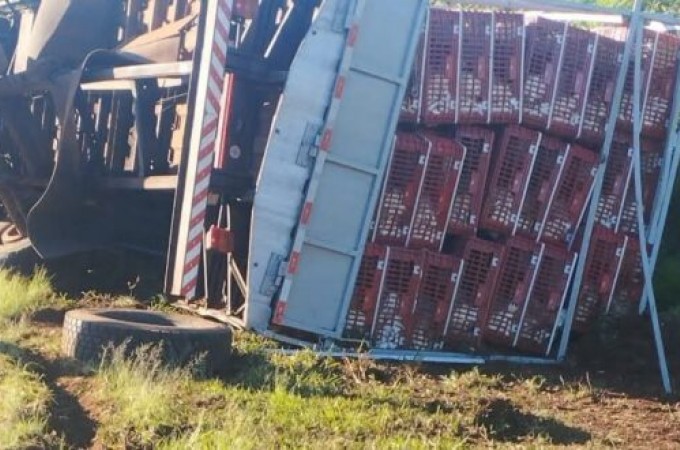 Caminh�o com carga de frango vivo tomba em Itaju na SP-304