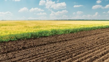 agropecuaria-paulista-registrou-retracao-no-mercado-de-trabalho