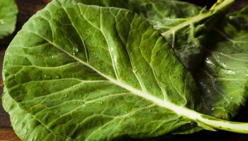 couve-desintoxica-o-corpo-e-fortalece-a-imunidade