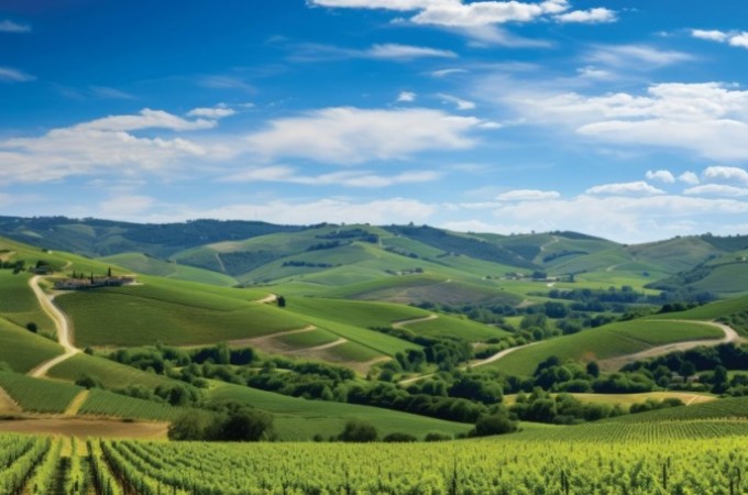 Plano Safra 2025/2026 tem retra��o nos desembolsos