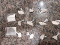 PM apreendeu jovem com drogas no Jd. Taquaral