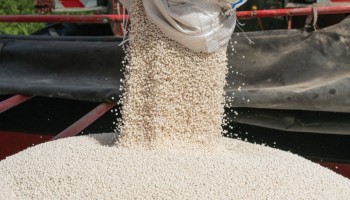 valorizacao-de-fertilizantes-e-defensivos-eleva-custos-de-producao