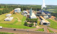 Cutrale � condenada a pagar R$ 1,5 milh�o por danos morais coletivos