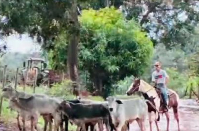 Pol�cia Civil prendeu em Ibitinga e Borborema, 6 envolvidos em furto