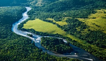 multas-ambientais-vao-ajudar-na-recuperacao-de-areas-degradadas