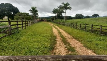 homem-e-baleado-em-assalto-a-fazenda-em-taquaritinga