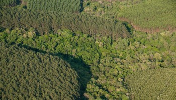 apa-de-ibitinga-promove-palestra-sobre-sistemas-agroflorestais