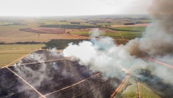 incendio-de-grandes-proporcoes-atinge-area-de-canavial-em-ibitinga