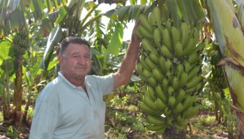 produtores-rurais-investem-em-tecnologia-no-campo