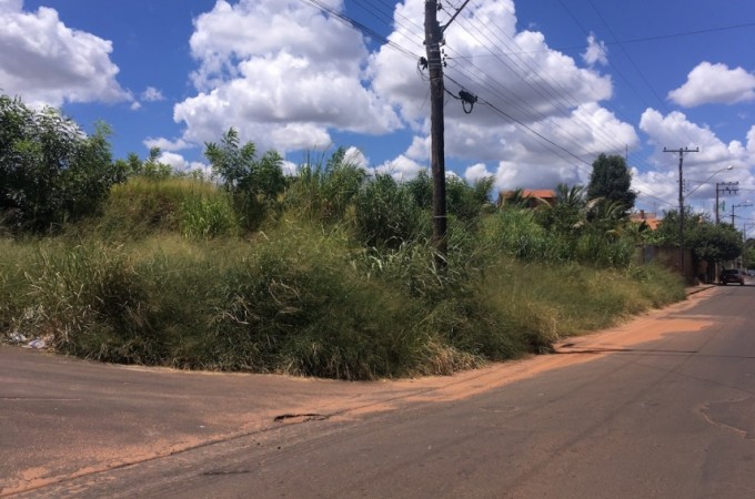 Prefeitura notifica donos de terrenos sem limpeza; multa  de R$ 938