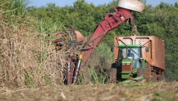 usina-testa-funcionarios-em-massa-e-15-dao-positivo-para-covid-19