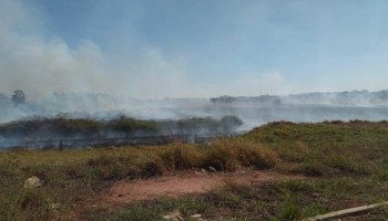 incendio-de-vegetacao-atingiu-reserva-nativa-em-ibitinga