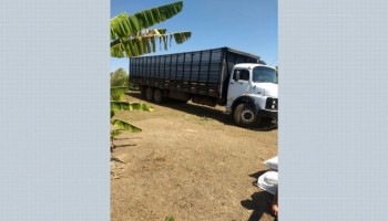 taquaritinga-ladroes-fazem-refens-e-roubam-caminhao-com-gado