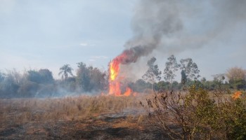 bombeiros-combateram-incendio-em-vegetacao-no-bairro-agua-quente