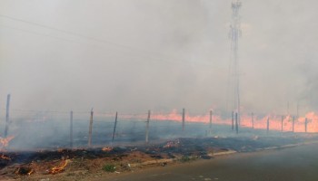 incendio-em-vegetacao-bombeiros-de-ibitinga-atende-5-ocorrencias-em