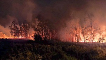 incendio-destruiu-area-de-8-mil-m%B2-no-jd.-mirante