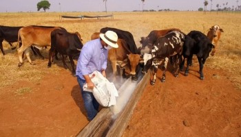 aumento-dos-custos-preocupa-produtores-rurais-no-interior-de-sp